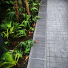 Stainless Linear Drain
