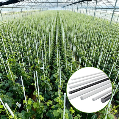 Plant Stakes & Vineyard Supports