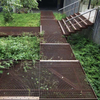 Stair Tread